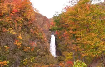 日本三大名瀑 杜の都仙台 秋の風景 秋保大滝の紅葉