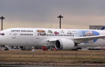 JAL×ジブリ 空を飛ぶプロジェクト 特別ラッピング機 ボーイング787-8ドリームライナー