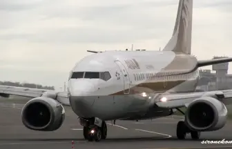 ANA 全日本空輸のボーイング737-700 特別塗装機 ゴールドジェット