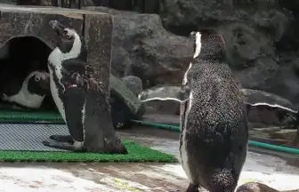 2015年に閉館 宮城のテーマパーク マリンピア松島水族館