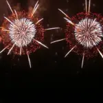 2013年 酒田花火ショー 第2部 銘華競演「四季燦々」芸術二尺玉打上