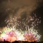 2013年 赤川花火大会 デザイン花火競技会 デザイン花火の部 ㈲太陽堂田村煙火店