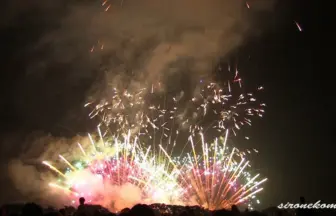 2013年 赤川花火大会 デザイン花火競技会 デザイン花火の部 ㈲太陽堂田村煙火店