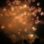 2013年 赤川花火大会 デザイン花火競技会 デザイン花火の部 ㈱和火屋