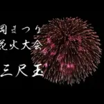 2014年8月3日 長岡まつり大花火大会 ナイアガラ大瀑布 日本一 正三尺玉｜
