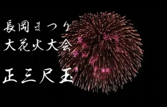 2014年8月3日 長岡まつり大花火大会 ナイアガラ大瀑布 日本一 正三尺玉｜