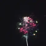 新作花火コレクション in 大曲 2015「ここに咲く紫陽花の華」㈱柿木花火工業