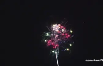 新作花火コレクション in 大曲 2015「ここに咲く紫陽花の華」㈱柿木花火工業