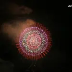 2014年 赤川花火大会 全国デザイン花火競技会 10号割物花火の部