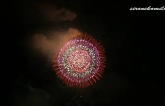 2014年 赤川花火大会 全国デザイン花火競技会 10号割物花火の部