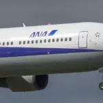 仙台空港臨空公園から眺める飛行機の離着陸 全日本空輸 ボーイング767-300