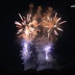 2014年 赤川花火大会 全国デザイン花火競技会「ヒーリング花火」㈲安藤煙火店