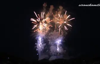 2014年 赤川花火大会 全国デザイン花火競技会「ヒーリング花火」㈲安藤煙火店