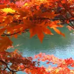 神秘の湖沼群 五色沼 美しい紅葉が彩る福島裏磐梯の風景
