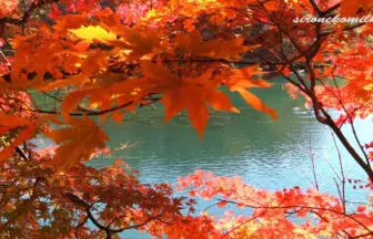 神秘の湖沼群 五色沼 美しい紅葉が彩る福島裏磐梯の風景