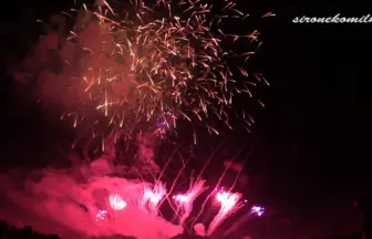 2014年 赤川花火大会 全国デザイン花火競技会「Burnin'」㈱マルゴー