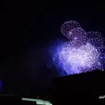 東京ディズニーランド ニューイヤーズ・イヴ カウントダウン花火
