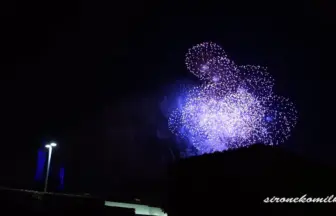 東京ディズニーランド ニューイヤーズ・イヴ カウントダウン花火
