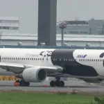 全日本空輸 ボーイング767-300 中国線就航20周年記念特別塗装機「FLY!パンダ」