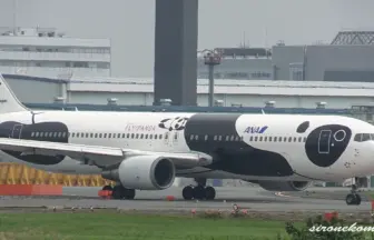 全日本空輸 ボーイング767-300 中国線就航20周年記念特別塗装機「FLY!パンダ」