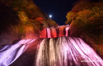 日本三名瀑 袋田の滝 幻想的な紅葉ライトアップ 2014