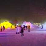 小岩井農場まきば園 いわて雪まつり 2014 大雪像ライトアップ