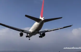 大阪国際空港 日本航空 サンアーク塗装と鶴丸のボーイング767