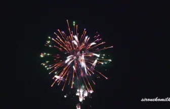 新作花火コレクション in 大曲 2015「海老の踊り」本家神田煙火工業