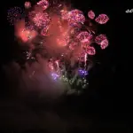 2014年 赤川花火大会 全国デザイン花火競技会「つむぐ未来」㈲菅野煙火店