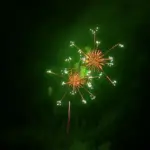 2013年 赤川花火大会 全国デザイン花火競技会 ㈲片貝煙火工業 LOVE FIRE 幸せの形