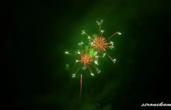 2013年 赤川花火大会 全国デザイン花火競技会 ㈲片貝煙火工業 LOVE FIRE 幸せの形