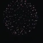 新作花火コレクション in 大曲 2015「小波(光の波紋)」㈱臼井煙火