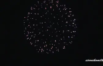 新作花火コレクション in 大曲 2015「小波(光の波紋)」㈱臼井煙火