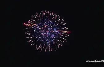 新作花火コレクション in 大曲 2015 大玉割物芸術花火競演 PART3