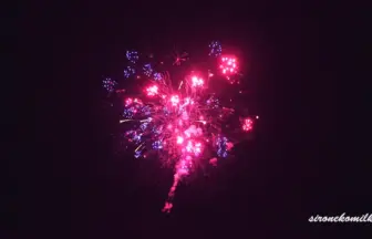 新作花火コレクション in 大曲 2015「動き出すモビール」㈱マルゴー