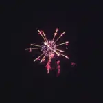 新作花火コレクション in 大曲 2015「花あかりに誘われて」㈱村瀬煙火