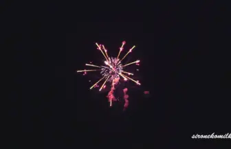 新作花火コレクション in 大曲 2015「花あかりに誘われて」㈱村瀬煙火