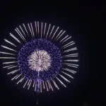 2014年 長野えびす講煙火大会 全国十号玉新作花火コンテスト