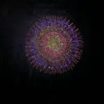 2013年 ツインリンクもてぎ 花火の祭典・秋 第4部 野村花火工業の芸術尺玉花火