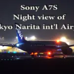 成田国際空港 さくらの山公園から眺める美しい滑走路夜景 世界の飛行機