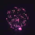 新作花火コレクション in 大曲 2015 大玉割物芸術花火競演 PART2