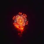 新作花火コレクション in 大曲 2015「唐草牡丹」㈲安藤煙火店