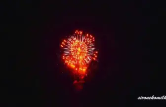 新作花火コレクション in 大曲 2015「唐草牡丹」㈲安藤煙火店