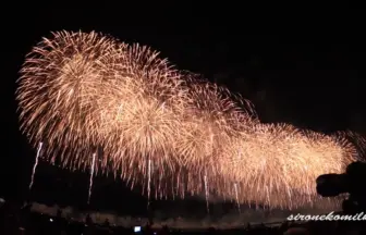 2014年8月2日 長岡まつり大花火大会 復興祈願花火「フェニックス10」
