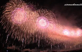 2014年8月3日 長岡まつり大花火大会 復興祈願花火 フェニックス10