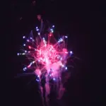 新作花火コレクション in 大曲 2015「虹色の太陽」㈱齊木煙火本店