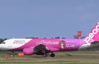 ピーチ・アビエーション Peach×Rune×Girls Award2013特別デザイン機 エアバスA320