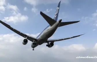 大阪国際空港 伊丹・千里川土手から眺める飛行機の離着陸