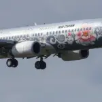 仙台空港に着陸する中国国際航空 のボーイング737-800 銀牡丹塗装