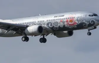 仙台空港に着陸する中国国際航空 のボーイング737-800 銀牡丹塗装